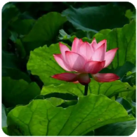 等待的时间总是漫长的