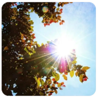 等待的时间总是漫长的