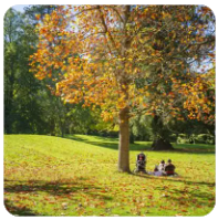 等待的时间总是漫长的