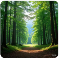 等待的时间总是漫长的