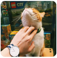 等待的时间总是漫长的