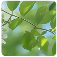 等待的时间总是漫长的